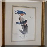 A12. Michael James Rocket “Eastern Bluebirds” signed print. 